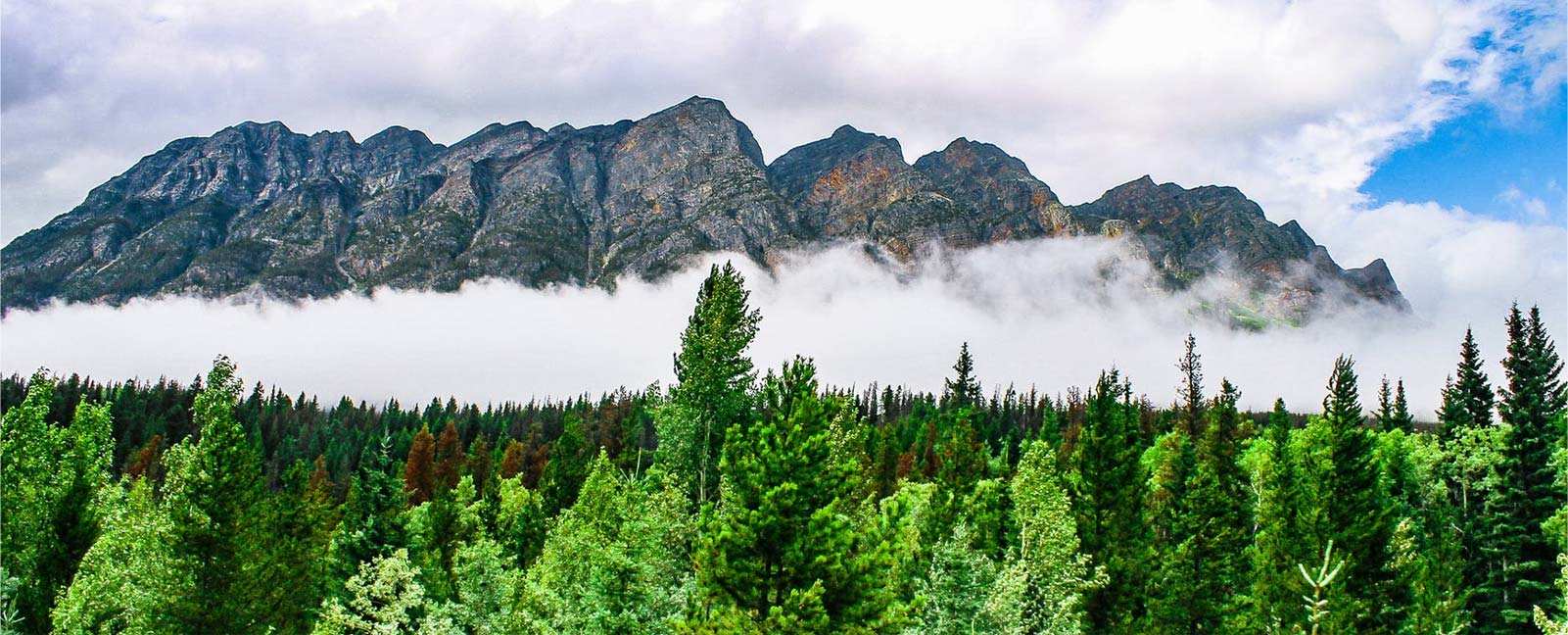 Zhejiang Zhongli Synthetic Material Technology Co., Ltd.